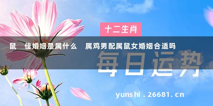 鼠朂佳婚姻是属什么 属鸡男配属鼠女婚姻合适吗